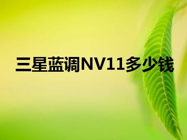 三星蓝调NV11多少钱