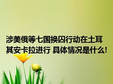 涉美俄等七国换囚行动在土耳其安卡拉进行 具体情况是什么!