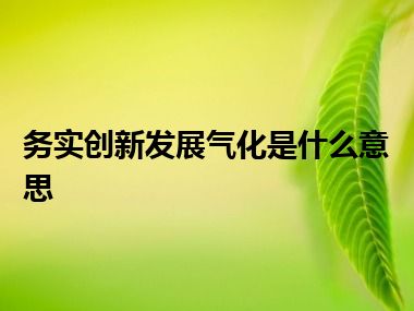 务实创新发展气化是什么意思