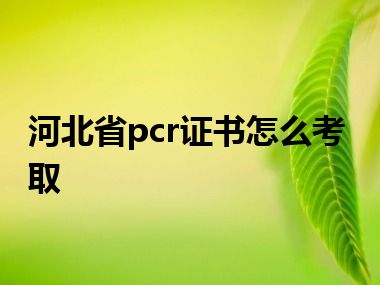 河北省pcr证书怎么考取