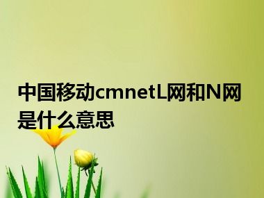 中国移动cmnetL网和N网是什么意思