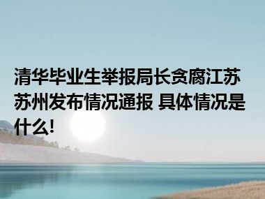 清华毕业生举报局长贪腐江苏苏州发布情况通报 具体情况是什么!