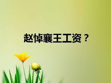 赵悼襄王工资？