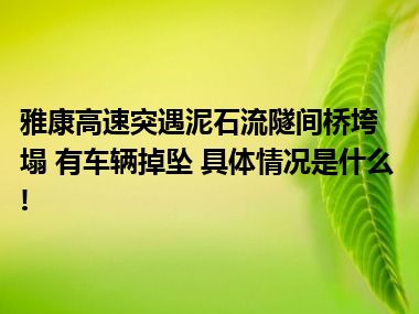 雅康高速突遇泥石流隧间桥垮塌 有车辆掉坠 具体情况是什么!