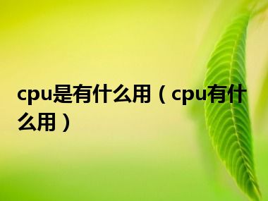 cpu是有什么用（cpu有什么用）