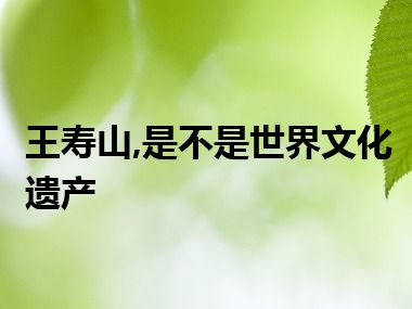 王寿山,是不是世界文化遗产