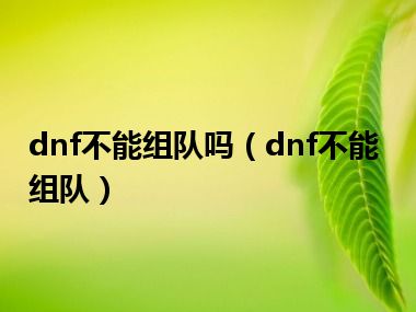 dnf不能组队吗（dnf不能组队）