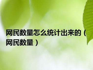 网民数量怎么统计出来的（网民数量）