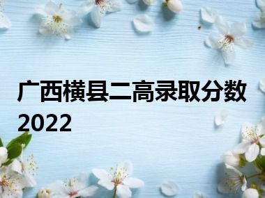 广西横县二高录取分数2022