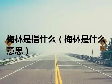 梅林是指什么（梅林是什么意思）