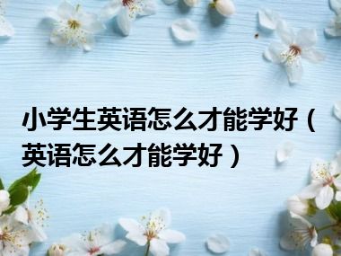 小学生英语怎么才能学好（英语怎么才能学好）