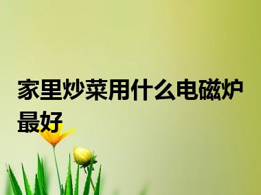 家里炒菜用什么电磁炉最好