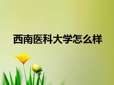 西南医科大学怎么样