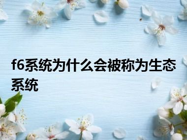 f6系统为什么会被称为生态系统