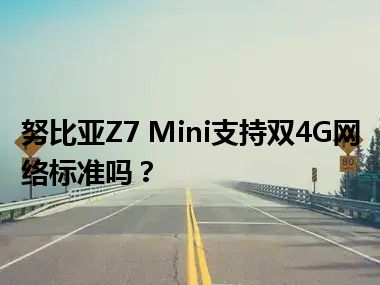 努比亚Z7 Mini支持双4G网络标准吗？