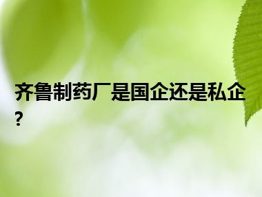 齐鲁制药厂是国企还是私企?