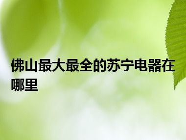 佛山最大最全的苏宁电器在哪里