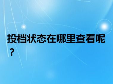 投档状态在哪里查看呢？