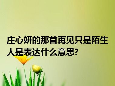 庄心妍的那首再见只是陌生人是表达什么意思?