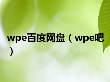 wpe百度网盘（wpe吧）