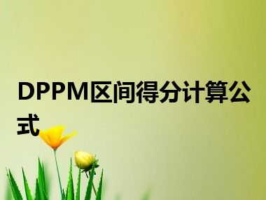 DPPM区间得分计算公式