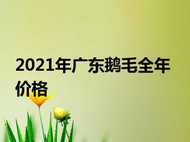 2021年广东鹅毛全年价格