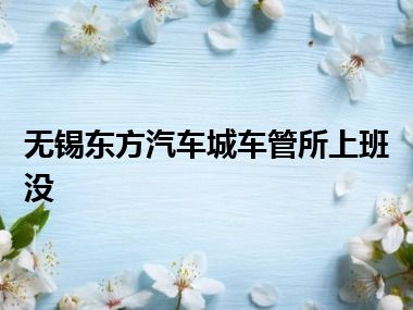 无锡东方汽车城车管所上班没