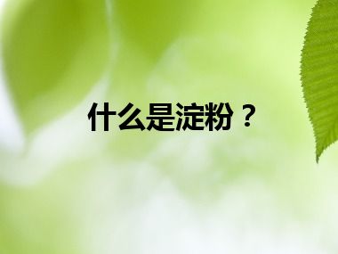 什么是淀粉？