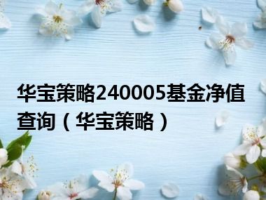 华宝策略240005基金净值查询（华宝策略）