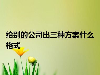 给别的公司出三种方案什么格式