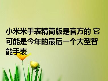 小米米手表精简版是官方的 它可能是今年的最后一个大型智能手表