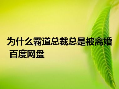 为什么霸道总裁总是被离婚 百度网盘