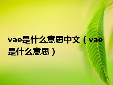 vae是什么意思中文（vae是什么意思）