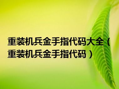 重装机兵金手指代码大全（重装机兵金手指代码）