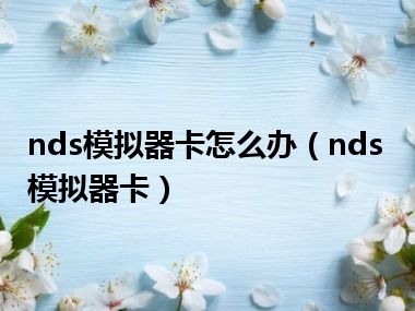 nds模拟器卡怎么办（nds模拟器卡）