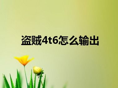 盗贼4t6怎么输出