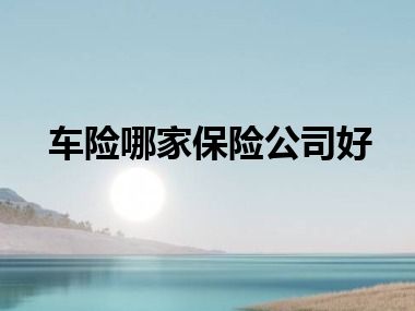 车险哪家保险公司好