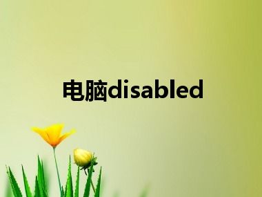 电脑disabled