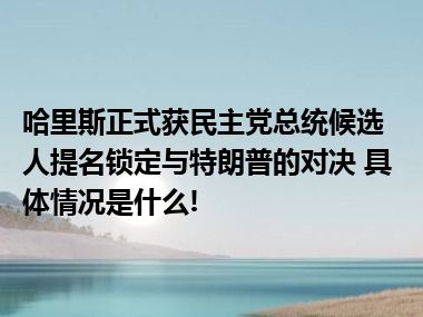 哈里斯正式获民主党总统候选人提名锁定与特朗普的对决 具体情况是什么!