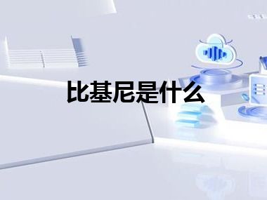 比基尼是什么