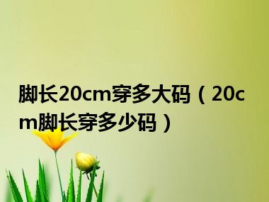 脚长20cm穿多大码（20cm脚长穿多少码）