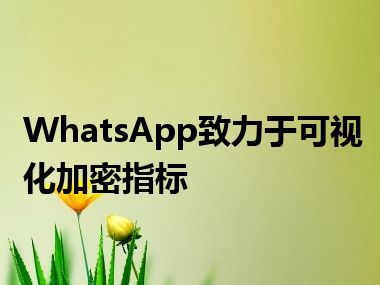 WhatsApp致力于可视化加密指标