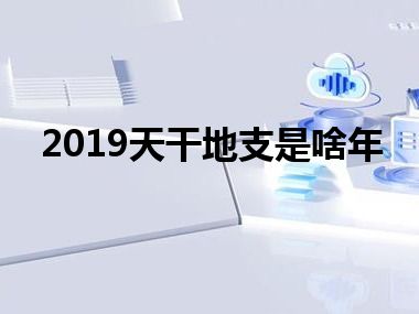 2019天干地支是啥年