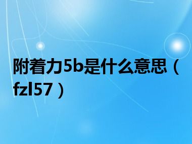 附着力5b是什么意思（fzl57）