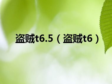 盗贼t6.5（盗贼t6）