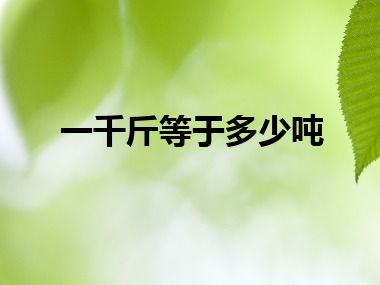 一千斤等于多少吨