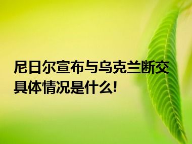 尼日尔宣布与乌克兰断交 具体情况是什么!