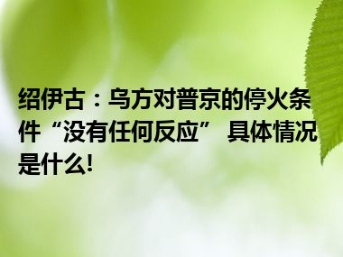 绍伊古：乌方对普京的停火条件“没有任何反应” 具体情况是什么!