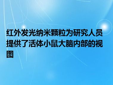 红外发光纳米颗粒为研究人员提供了活体小鼠大脑内部的视图