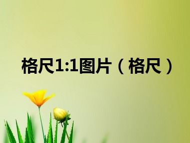 格尺1:1图片（格尺）